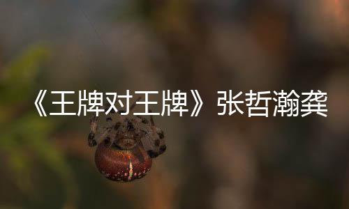 王王牌王牌张哲瀚在哪张哲瀚龚一期对王第几龚俊俊牌对牌期有