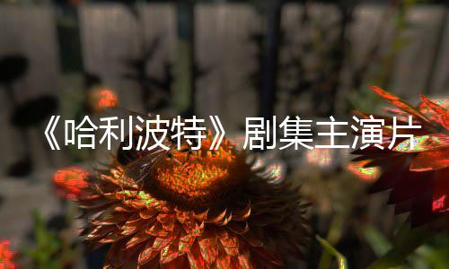 百万利波主演特哈二季第剧集就成片酬曝光富翁