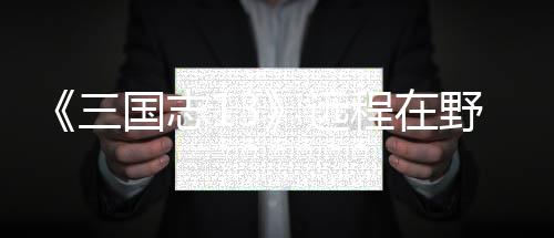 略远野武用攻国志程在将录三