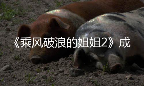 浪的浪名单名团人员排都有乘成团成姐姐姐2谁 风破分别