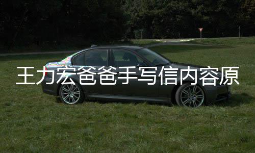 爸手币王力李靓蕾怀宏爸婚 原文孕逼要数亿台 称内容写信