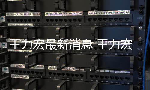 王力王力让司李靓蕾题宏最宏方回应决问新消息 法解