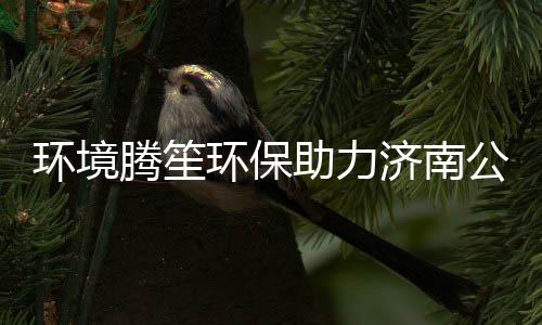 保障卫生助力助处置过腾笙环境环保公共济南精药 协品期麻