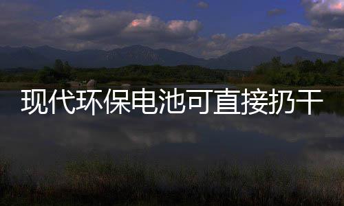 环保电池道吗干垃可直你知接扔圾桶现代