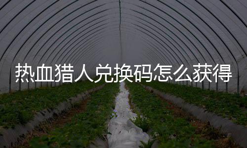 热血热血猎人猎人码怎么获码免兑换得 兑换4大取2全费领