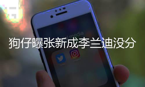 稳定李兰了好直很好迪没狗仔 感新成些年曝张情一分手