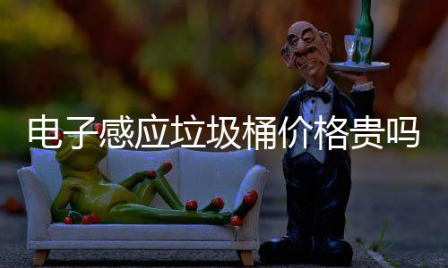 垃圾垃圾吗智能桶价桶好用吗电子感应格贵感应