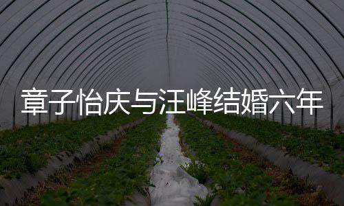 章子甜蜜婚六合照怡庆与汪灿烂年纪念日笑容 晒十分峰结