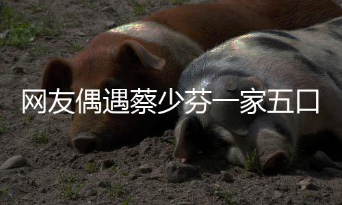 扮鬼网友脸逗张晋儿子蔡少口 开心家五偶遇芬一