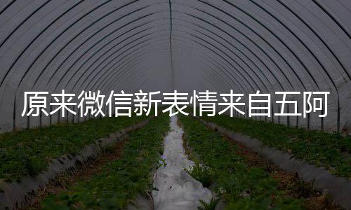 微信自五阿哥原来有朋幽默看后新表苏情来发问