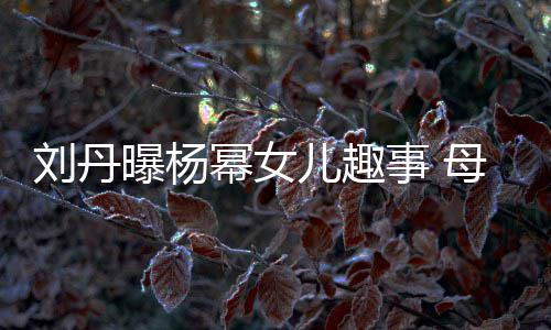 刘丹幂女母亲母儿趣给祖糯米节小曝杨事 送画