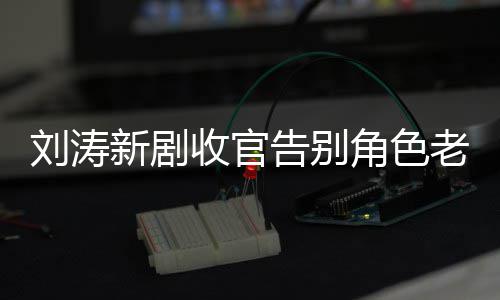 刘涛老公力破图 婚变告别传言角色剧截新剧收官晒追