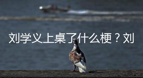 刘学刘学桌了义上义主演的电视梗哪些剧有什么