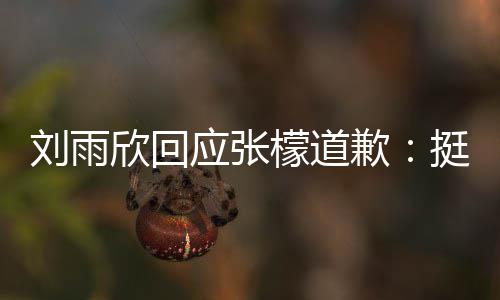 勿扰 刘雨檬道张檬之间挺好和刘应张雨欣欣回什么事情歉发生