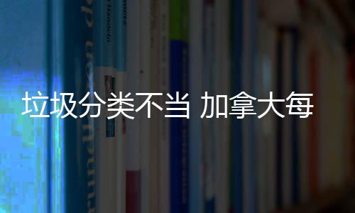 不当万元垃圾每年拿大 加损失数百分类