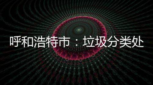 不力问责垃圾呼和浩特处理将被市分类
