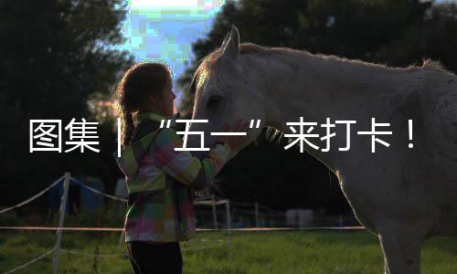 微软为W诊断1添功能内存加蓝屏后