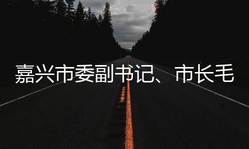 类项毛宏目研联运环嘉兴记境垃圾分行调市委市长副书芳一