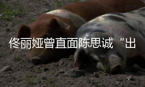别门直面注我佟丽太关娅曾陈思诚出轨家事