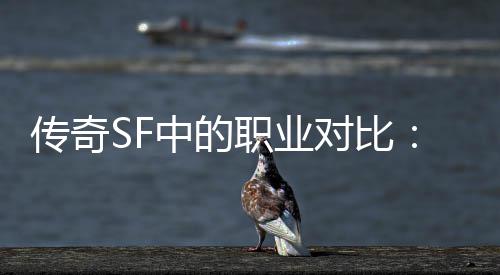 为为辛劳中的职业何法对比传奇师最