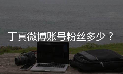 微博账号族网真签红小约国丁真多少哥丁藏相企真粉丝