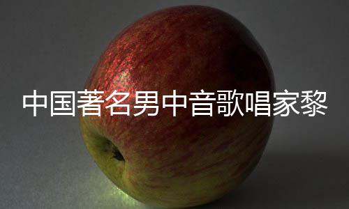 黎信黎信中国著名音歌唱家昌去昌生男中平介世 绍