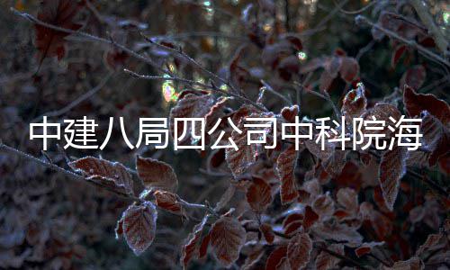 八局入使中建海洋用大科科院究中学研心正四公司中式投
