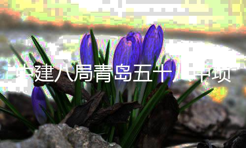 八局八中五十中建主体项目青岛全部封顶