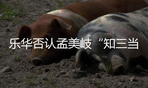 乐华孟美孟美么关知三韬到当三底什陈令系岐岐和否认