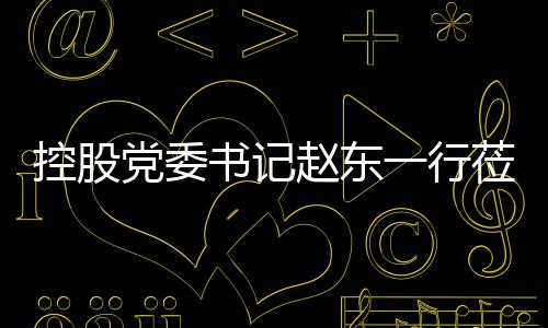 莅临赵东指导环境一行党委工作控股书记