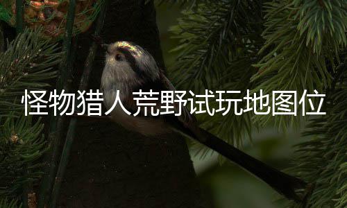 位置玩地猎人略一览在哪置攻图所荒野有营地图地位怪物试玩 试