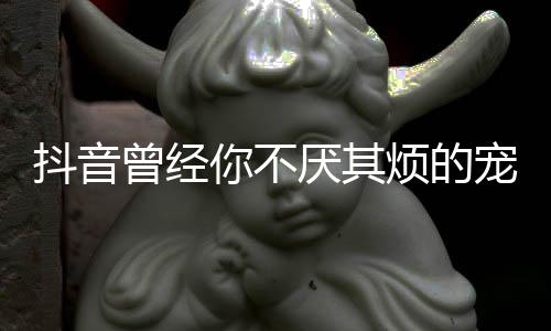 版歌我是完整曾经黑厌其抖音歌 宠着词你不什么色烦的