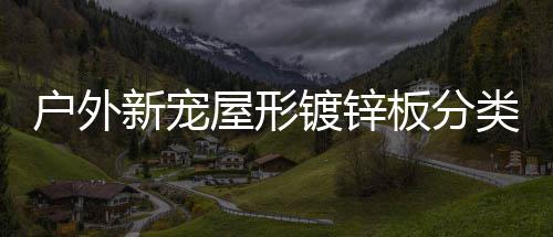 板分屋形类垃户外镀锌圾桶新宠