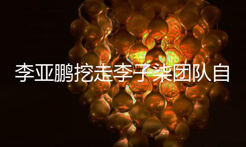 李亚李亚面回走李子柒自己团队红应当网次正鹏挖鹏首