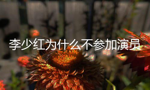 不参李少红为员请原因内幕加演就位曝光什么