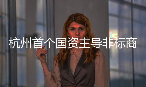主导杭州国资建成项目首个商业非标