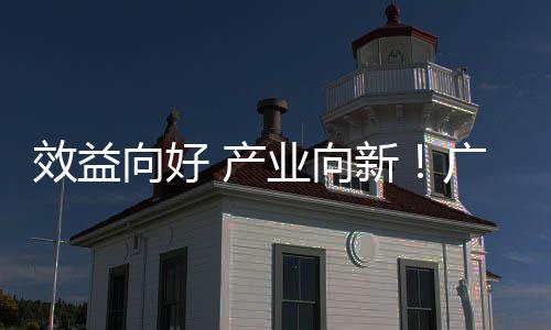 位数润实增长环保业向广东 产年营集团效益向好新现双收利