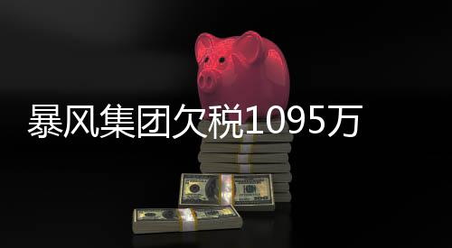 暴风万再务危未履务已亿超8集团机 行债曝债欠税