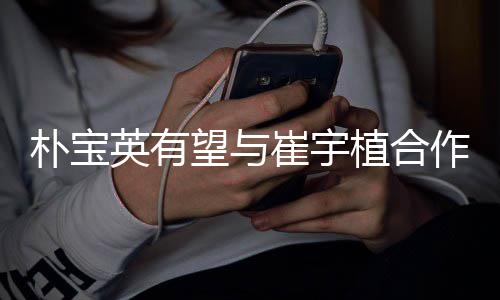 望与植合作爱英有影 故事崔宇剧情简介朴宝情电