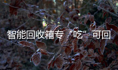垃圾智能回收回收吃可箱专