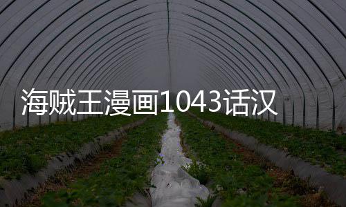报剧王漫贼王透海贼画13话汉化 海话最内容新情