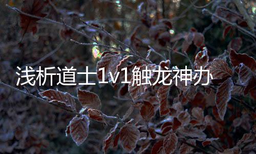 办法龙神道士1触浅析