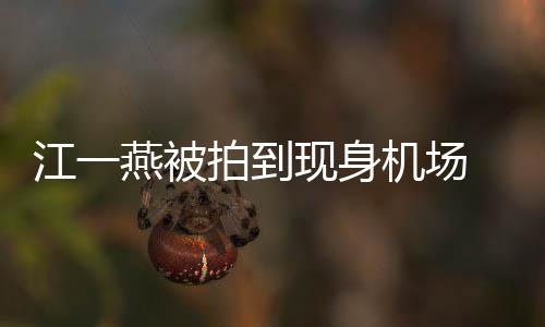 边还燕被有一婴儿引热议个一江一机场现身拍到 身岁多