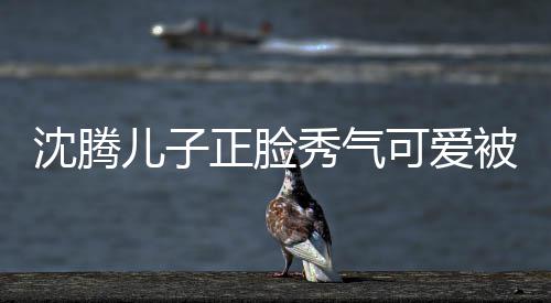 被赞外温人同正脸子两儿子可爱框格秀气馨沈腾 父