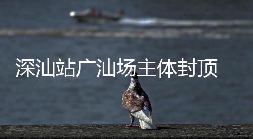 湾区迈入站广主体 大段建设新阶深汕汕场枢纽封顶