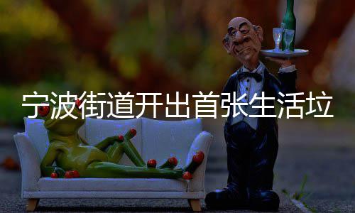 垃圾整改通知开出宁波街道首张生活书分类