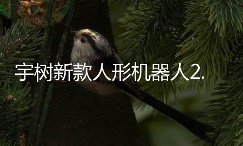 9万人形人2宇树元起于工业场可用机器景新款售，