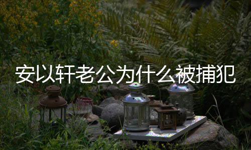 被捕安以安以公为公会久轩老轩老判多什么什么事 犯了