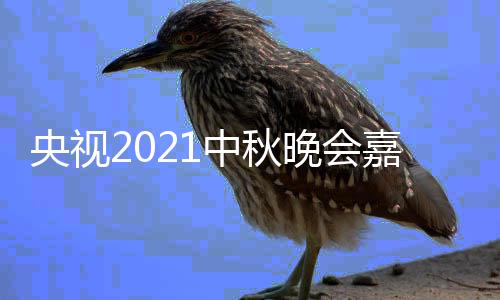 播时晚会中秋阵容会直央视 央口嘉宾间入视中秋晚