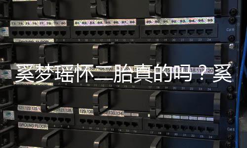 老公吗真的终未正面何猷回应二胎瑶怀瑶和君始奚梦奚梦